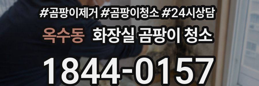 옥수동 화장실 곰팡이 청소