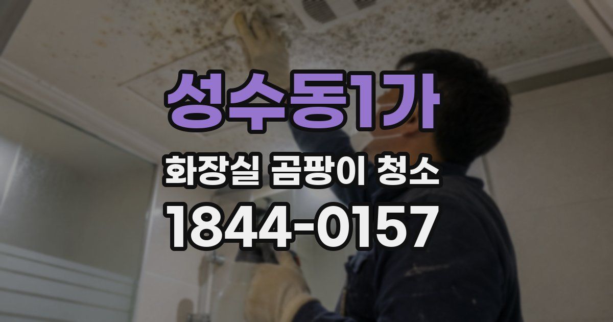 성수동1가 화장실 곰팡이 청소