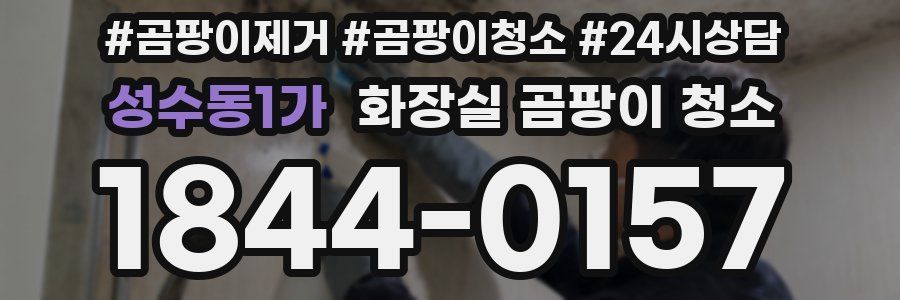성수동1가 화장실 곰팡이 청소
