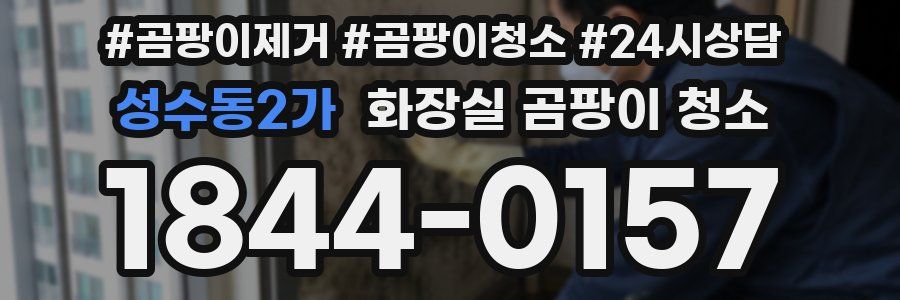 성수동2가 화장실 곰팡이 청소