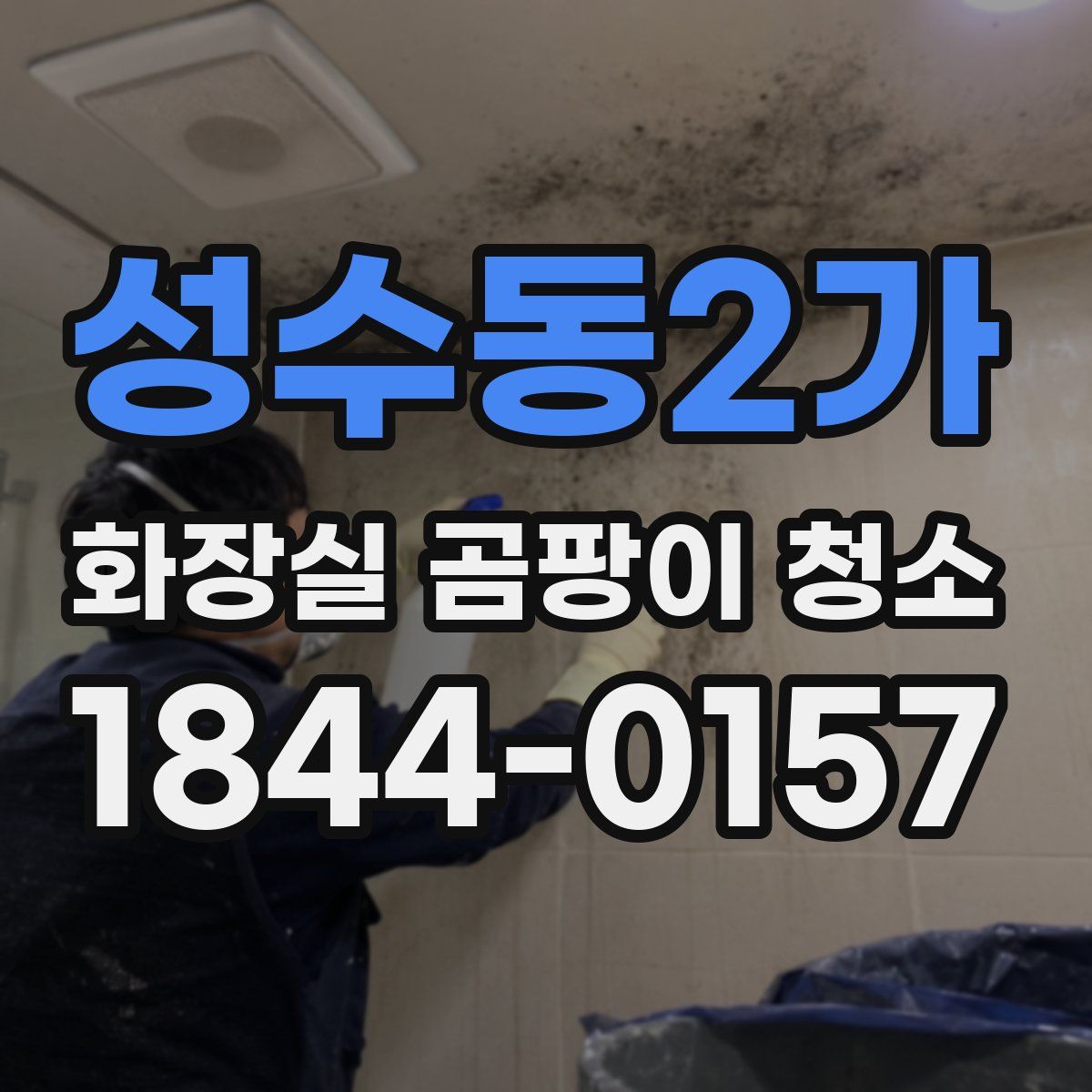 성수동2가 화장실 곰팡이 청소
