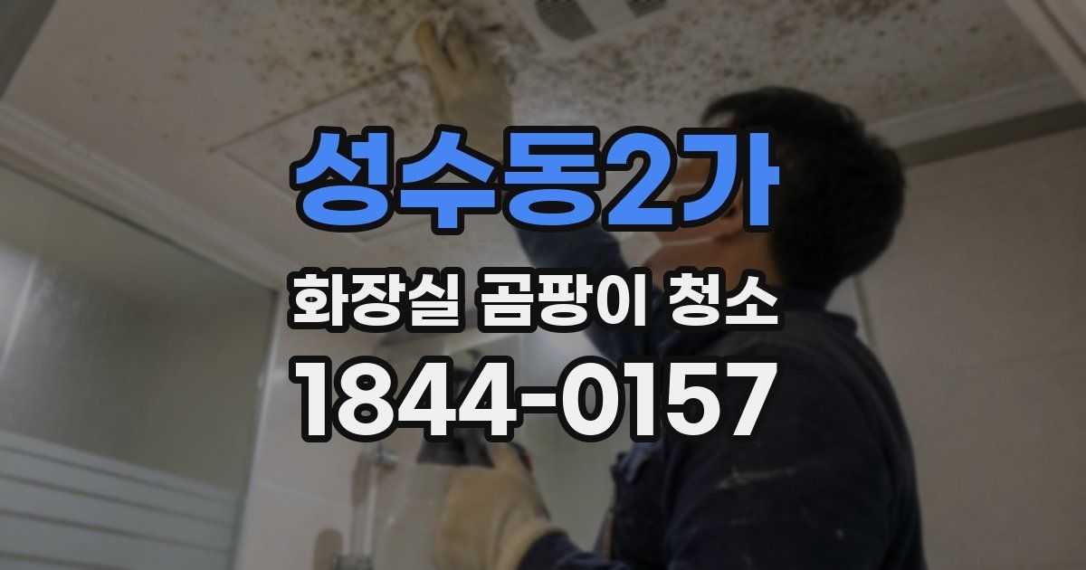 성수동2가 화장실 곰팡이 청소