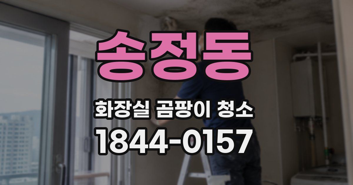 송정동 화장실 곰팡이 청소