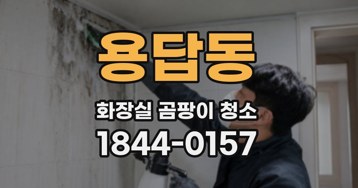 용답동 화장실 곰팡이 청소