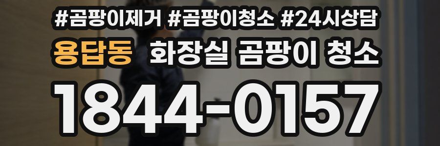 용답동 화장실 곰팡이 청소