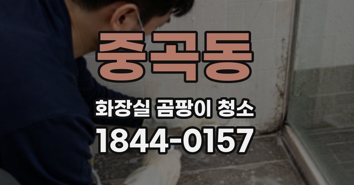 중곡동 화장실 곰팡이 청소
