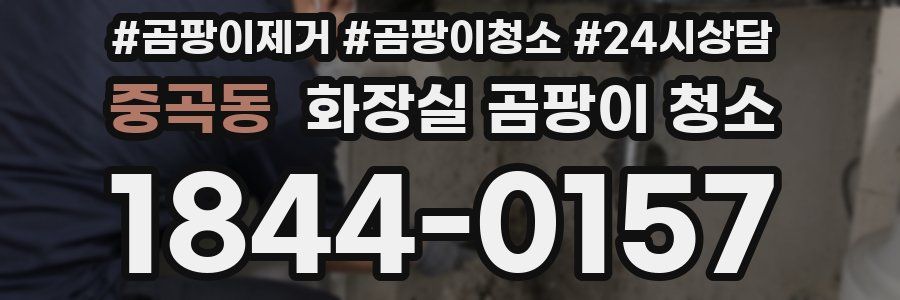 중곡동 화장실 곰팡이 청소