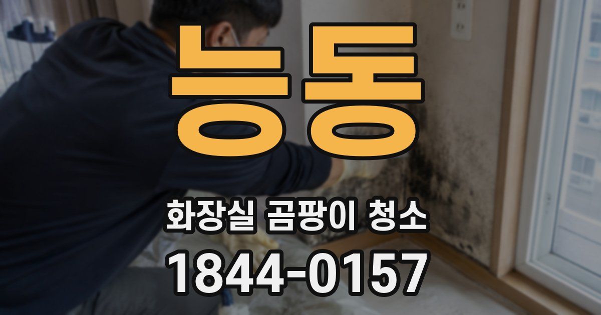 능동 화장실 곰팡이 청소