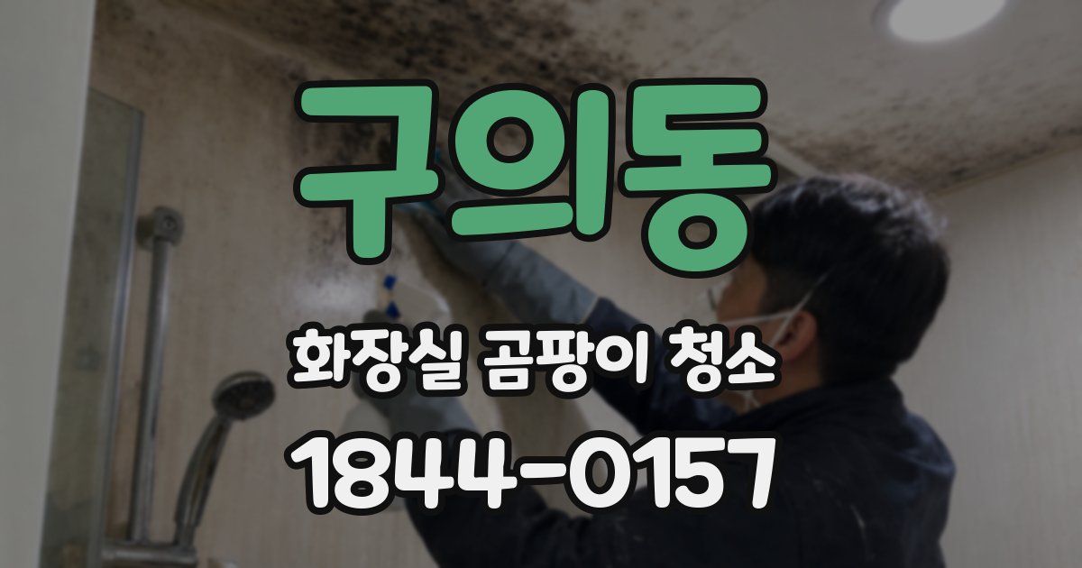 구의동 화장실 곰팡이 청소