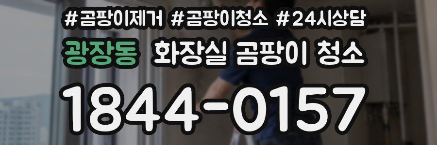 광장동 화장실 곰팡이 청소