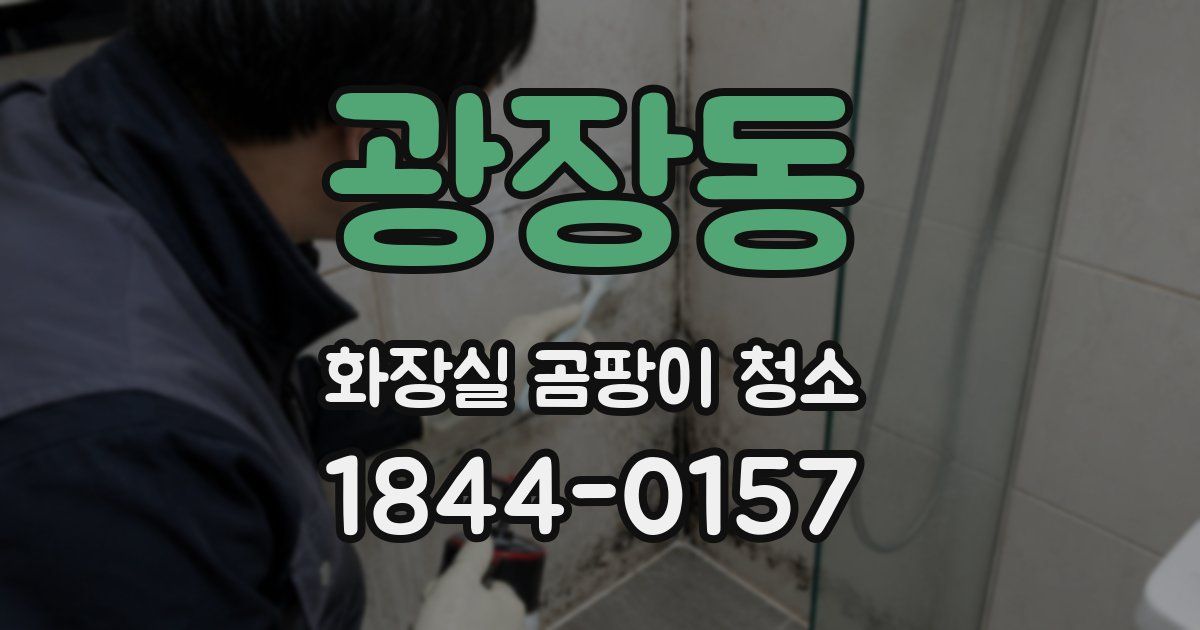 광장동 화장실 곰팡이 청소