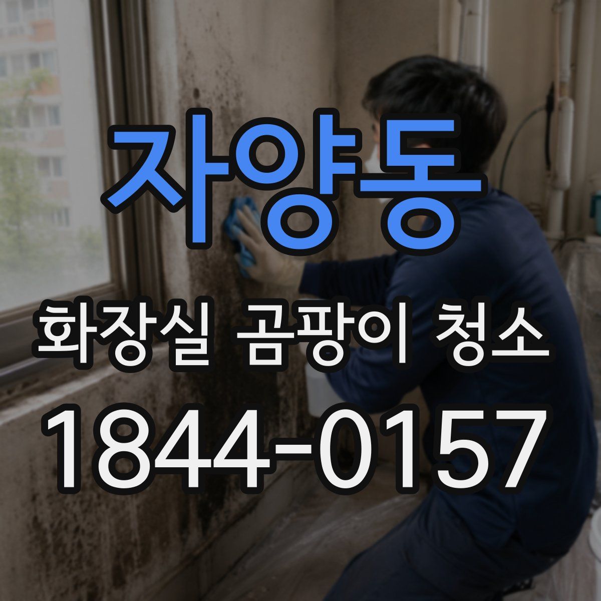 자양동 화장실 곰팡이 청소