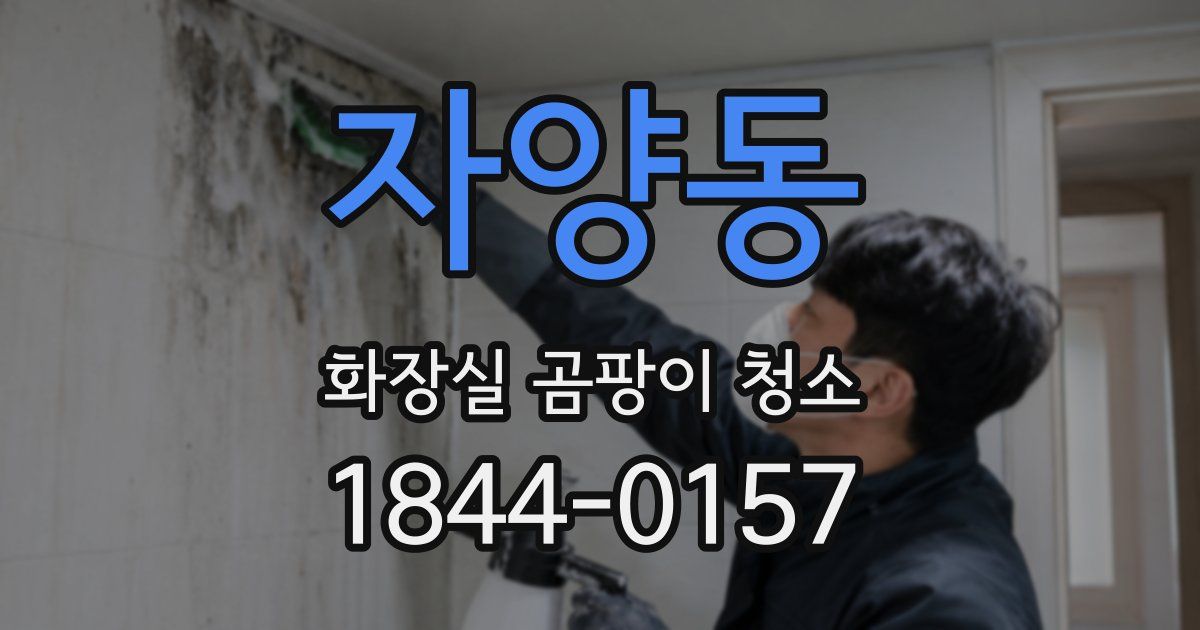 자양동 화장실 곰팡이 청소