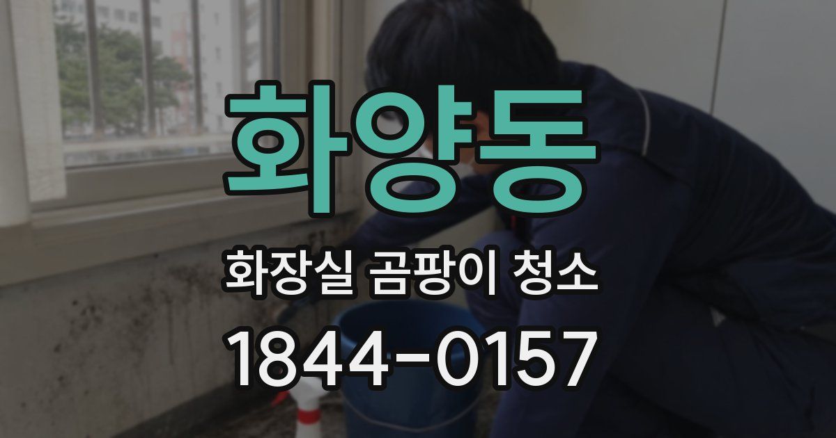 화양동 화장실 곰팡이 청소