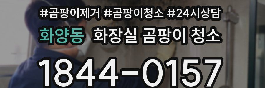 화양동 화장실 곰팡이 청소