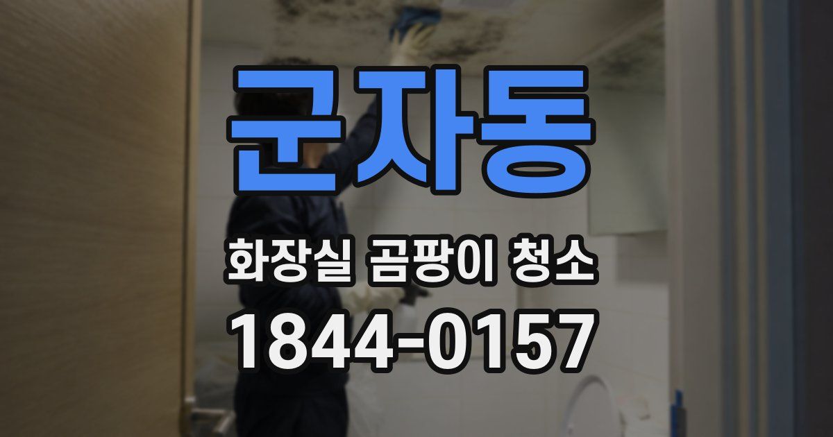 군자동 화장실 곰팡이 청소