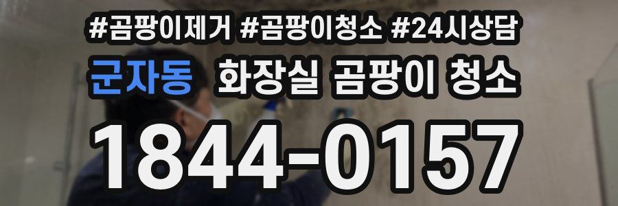 군자동 화장실 곰팡이 청소