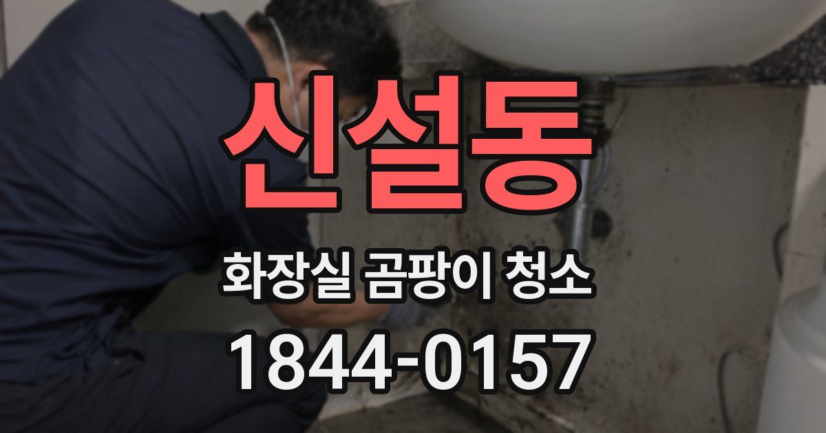 신설동 화장실 곰팡이 청소