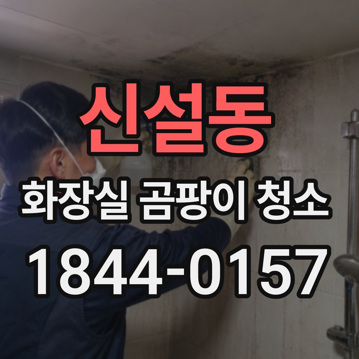 신설동 화장실 곰팡이 청소