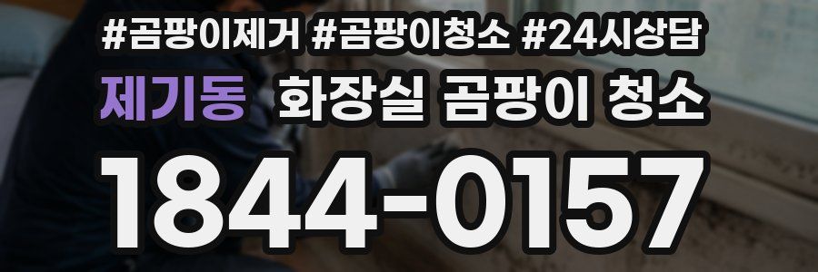제기동 화장실 곰팡이 청소