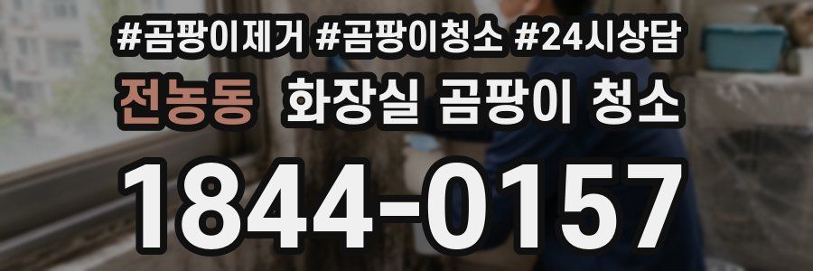 전농동 화장실 곰팡이 청소