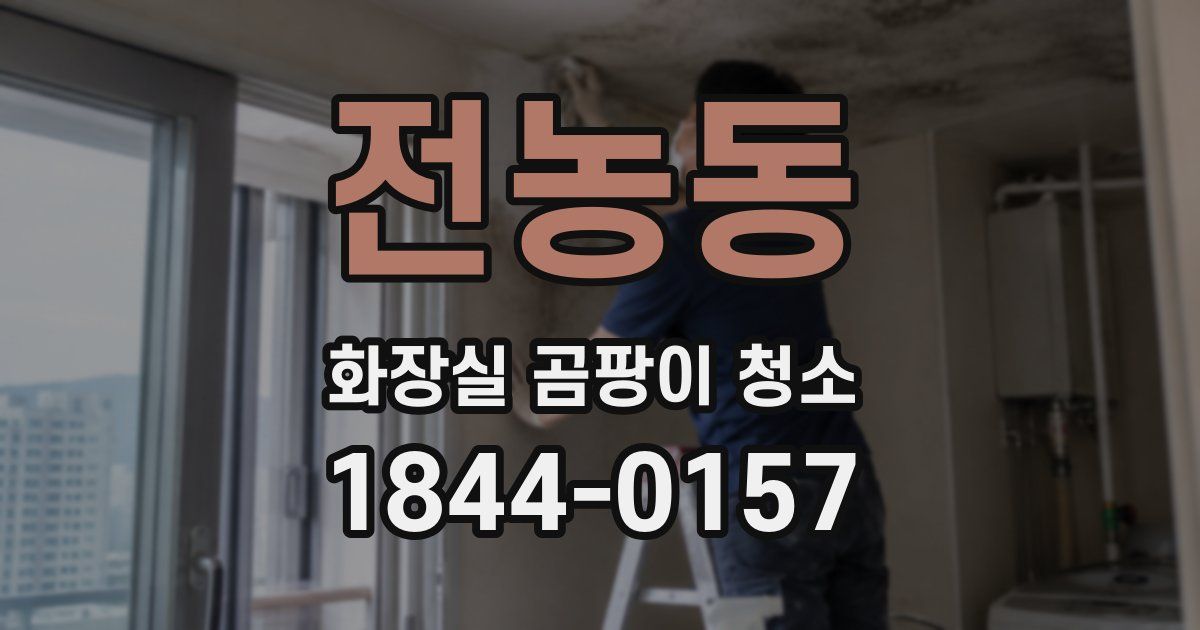 전농동 화장실 곰팡이 청소