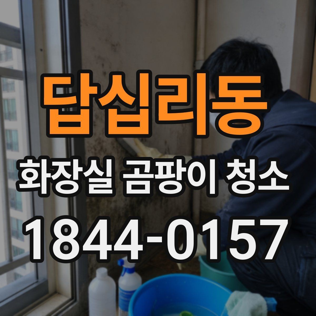 답십리동 화장실 곰팡이 청소 오래된 욕실의 바닥부터 점검하는 손질 순서