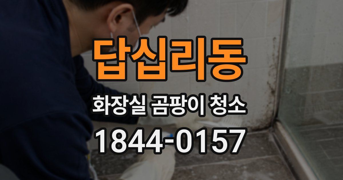 답십리동 화장실 곰팡이 청소
