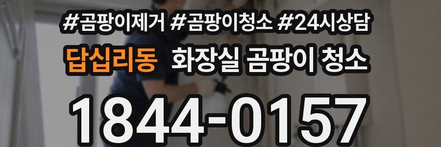 답십리동 화장실 곰팡이 청소
