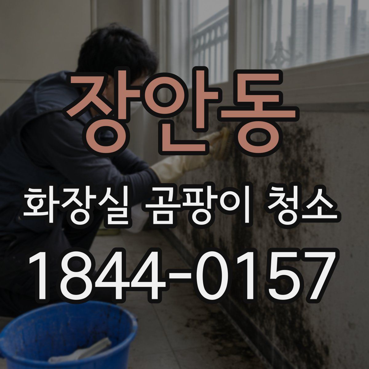 장안동 화장실 곰팡이 청소