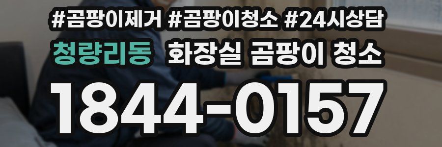 청량리동 화장실 곰팡이 청소