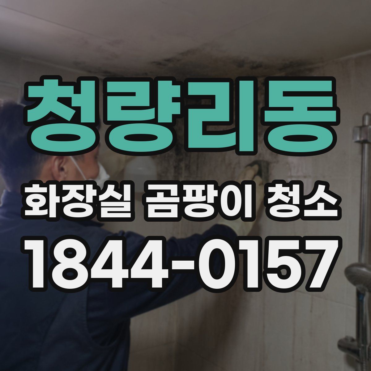 청량리동 화장실 곰팡이 청소
