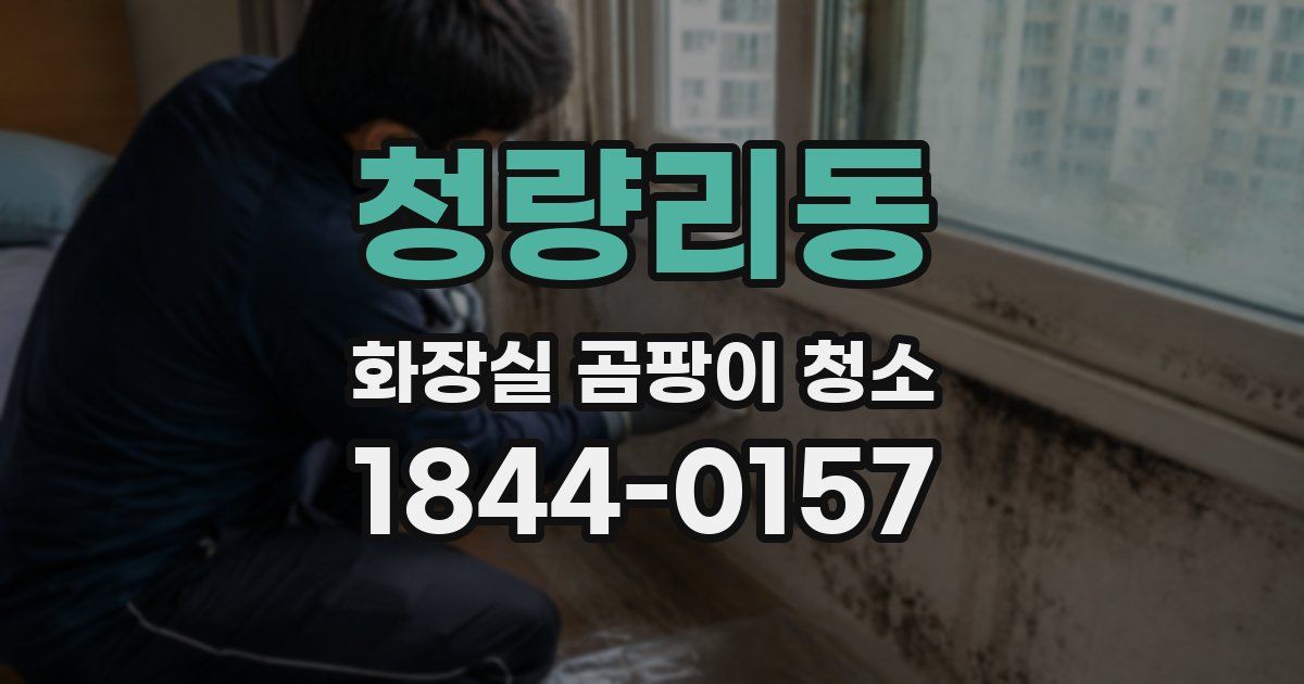 청량리동 화장실 곰팡이 청소