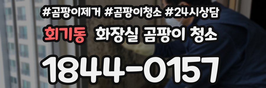 회기동 화장실 곰팡이 청소