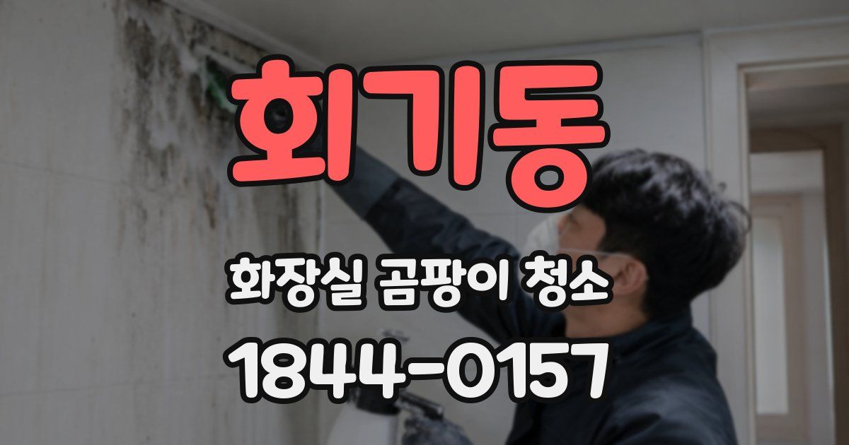 회기동 화장실 곰팡이 청소