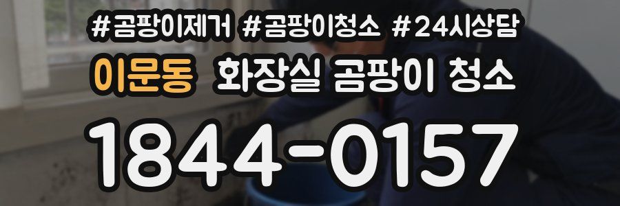 이문동 화장실 곰팡이 청소