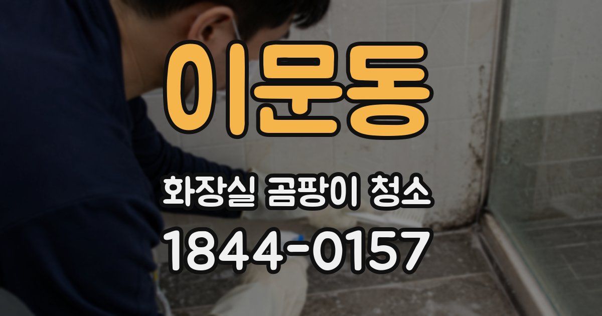 이문동 화장실 곰팡이 청소