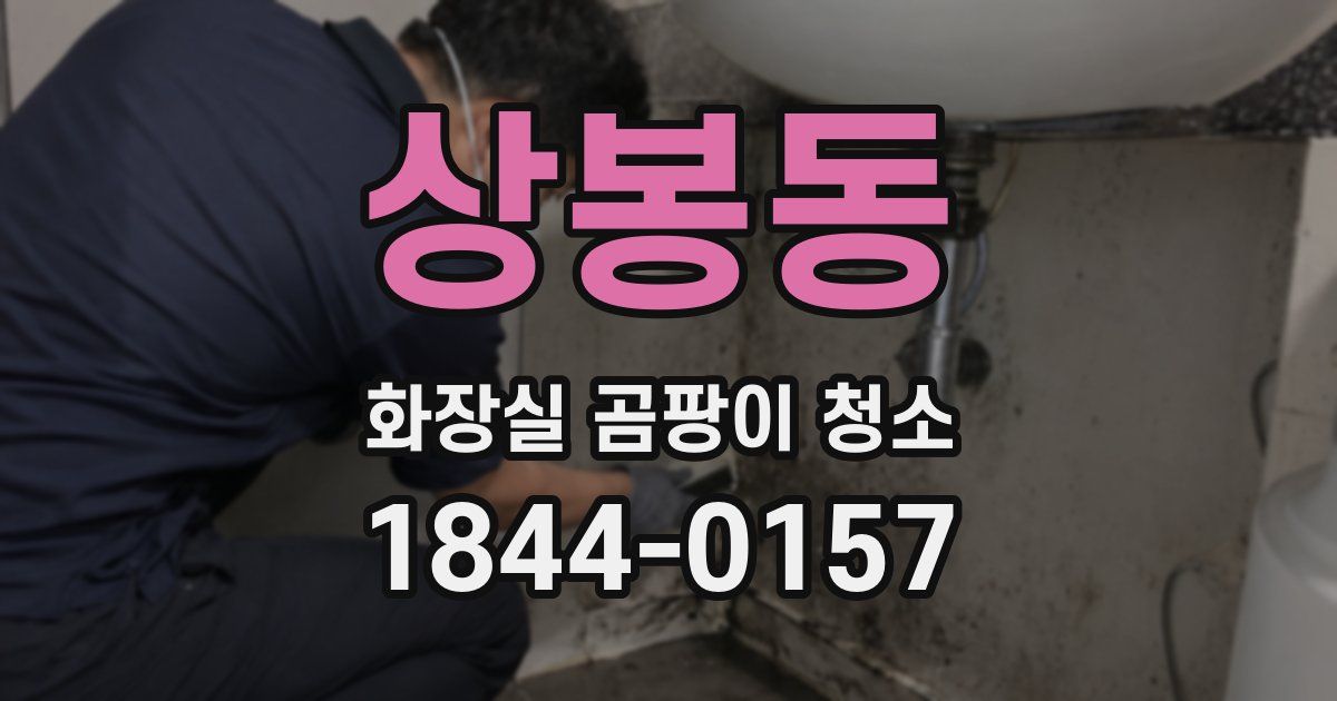 상봉동 화장실 곰팡이 청소