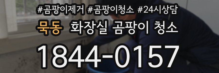 묵동 화장실 곰팡이 청소