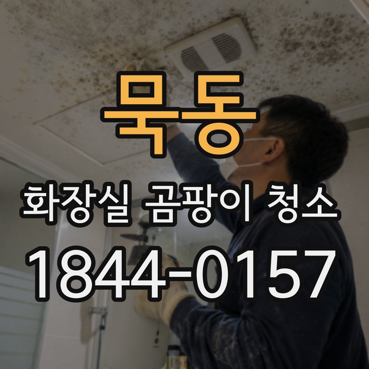 묵동 화장실 곰팡이 청소
