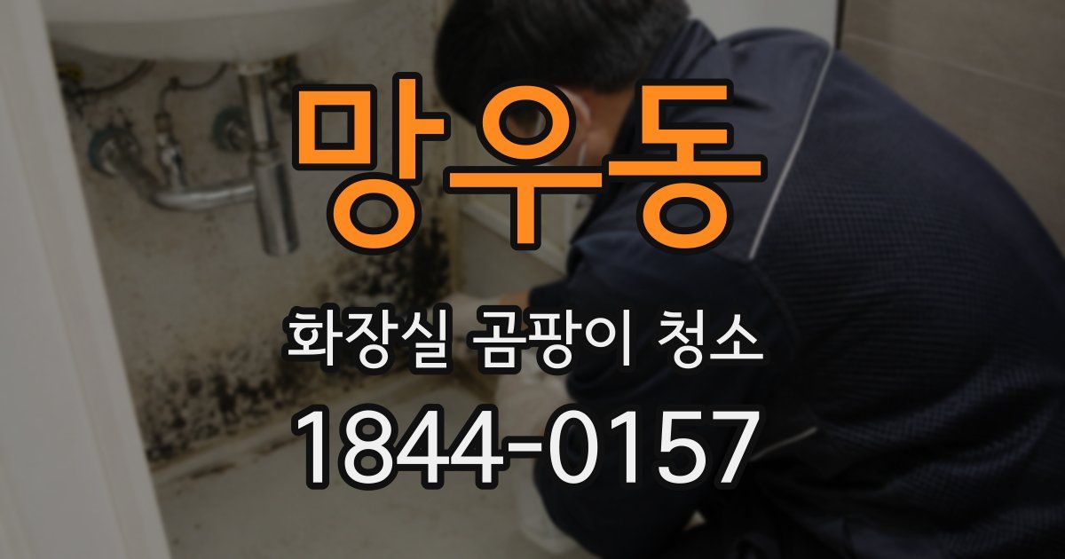 망우동 화장실 곰팡이 청소