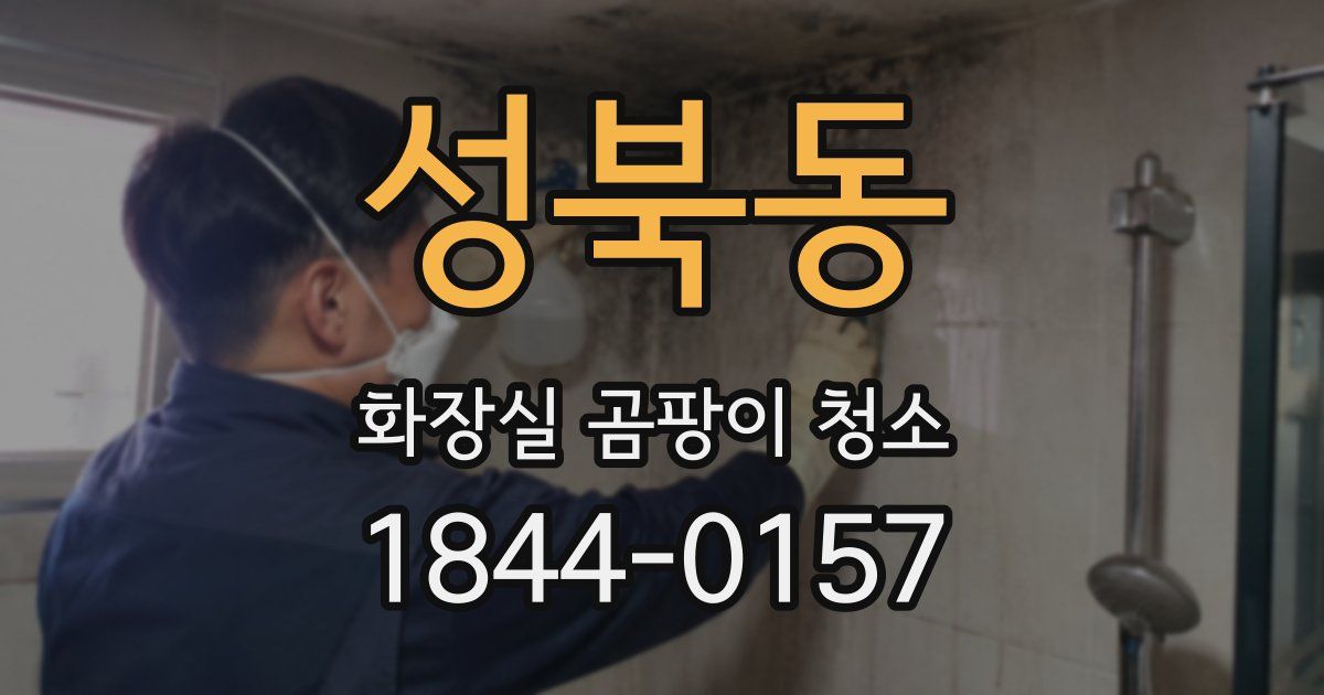 성북동 화장실 곰팡이 청소