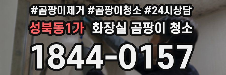 성북동1가 화장실 곰팡이 청소