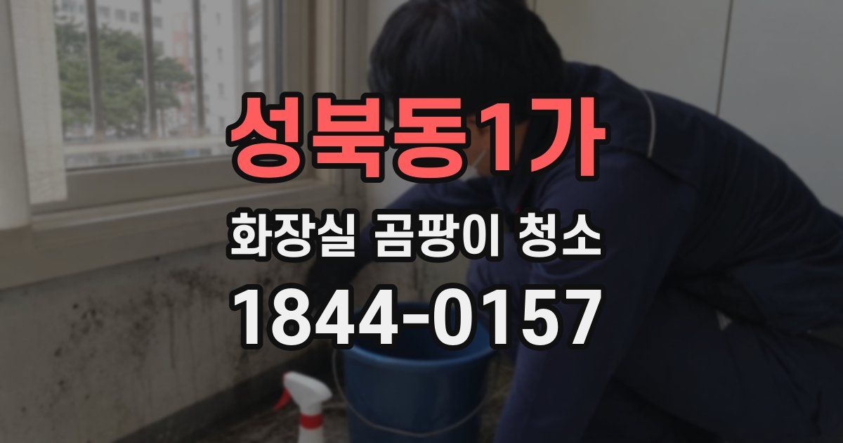성북동1가 화장실 곰팡이 청소