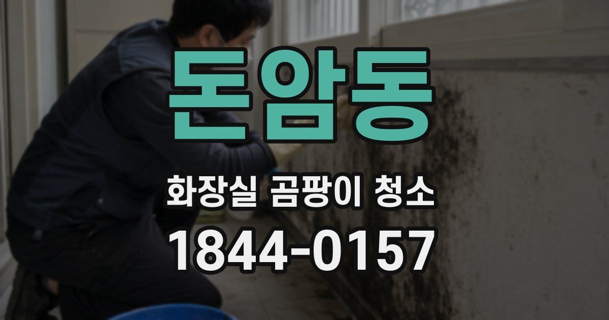 돈암동 화장실 곰팡이 청소
