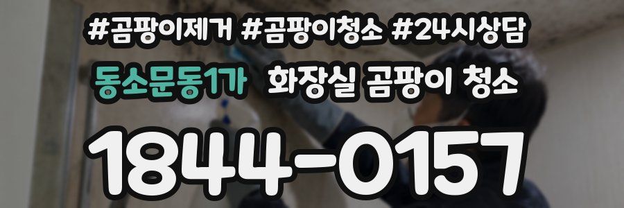 동소문동1가 화장실 곰팡이 청소