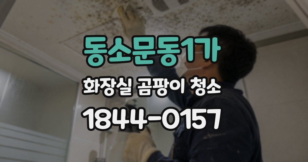 동소문동1가 화장실 곰팡이 청소