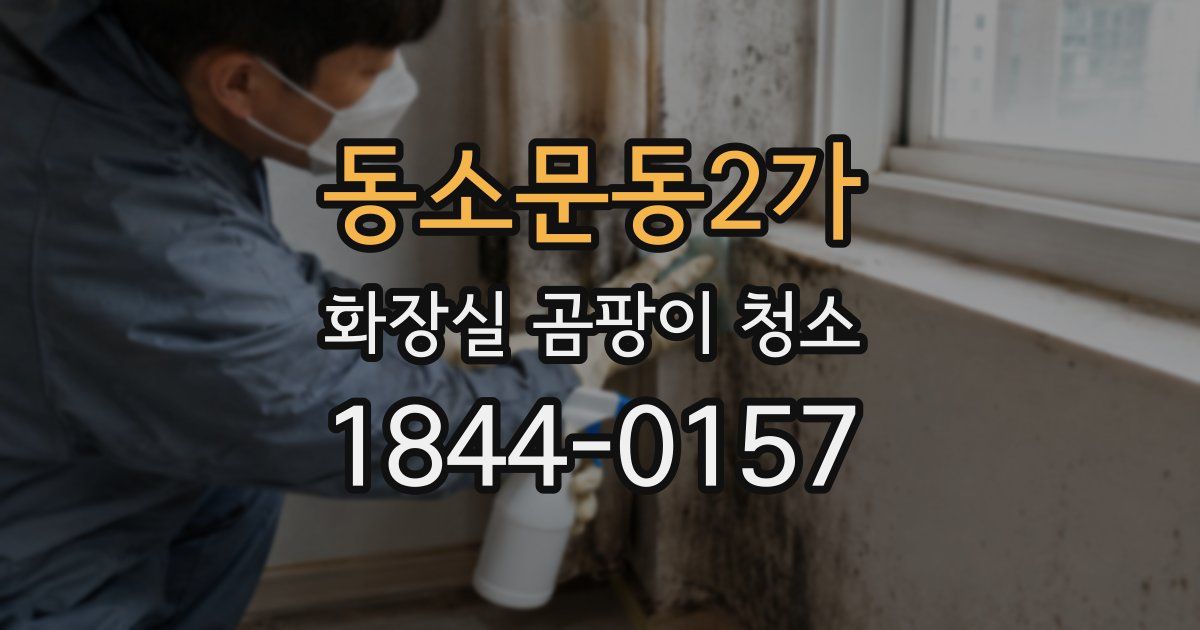 동소문동2가 화장실 곰팡이 청소