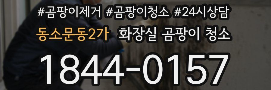 동소문동2가 화장실 곰팡이 청소