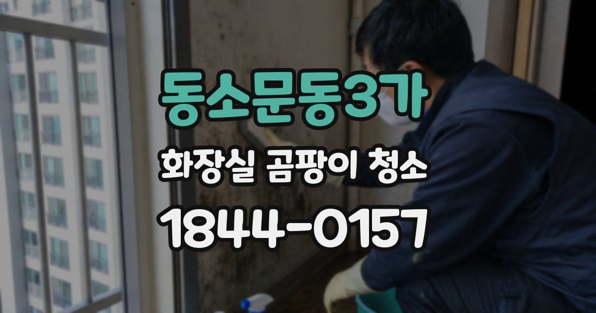 동소문동3가 화장실 곰팡이 청소